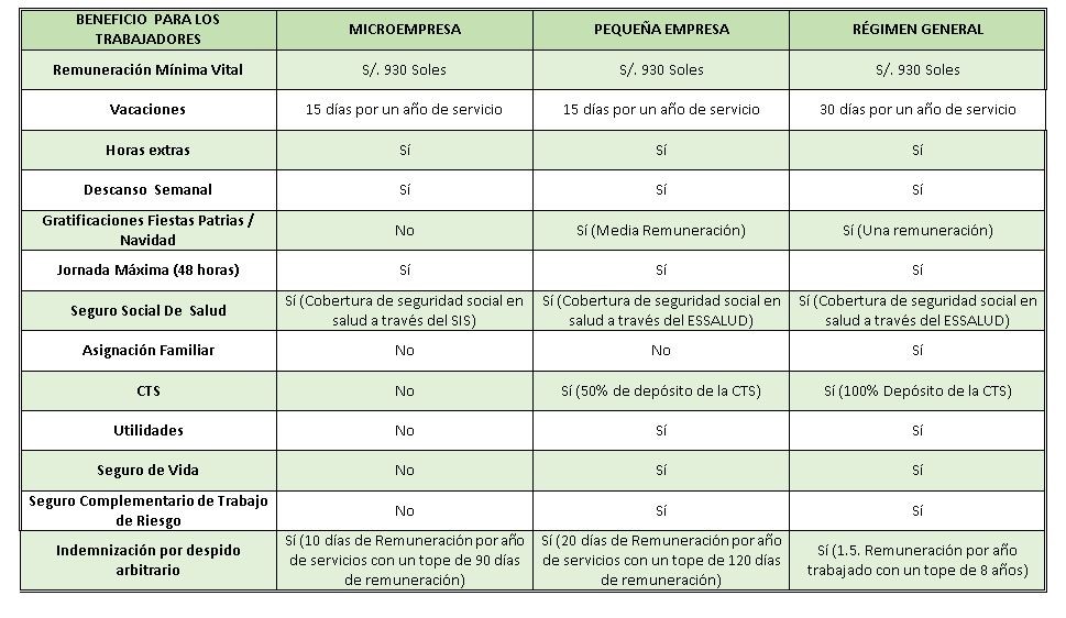 Que Obligaciones Laborales Debes De Cumplir Si Eres Una Micro Y Pequena Empresa Mype Tu Consulta
